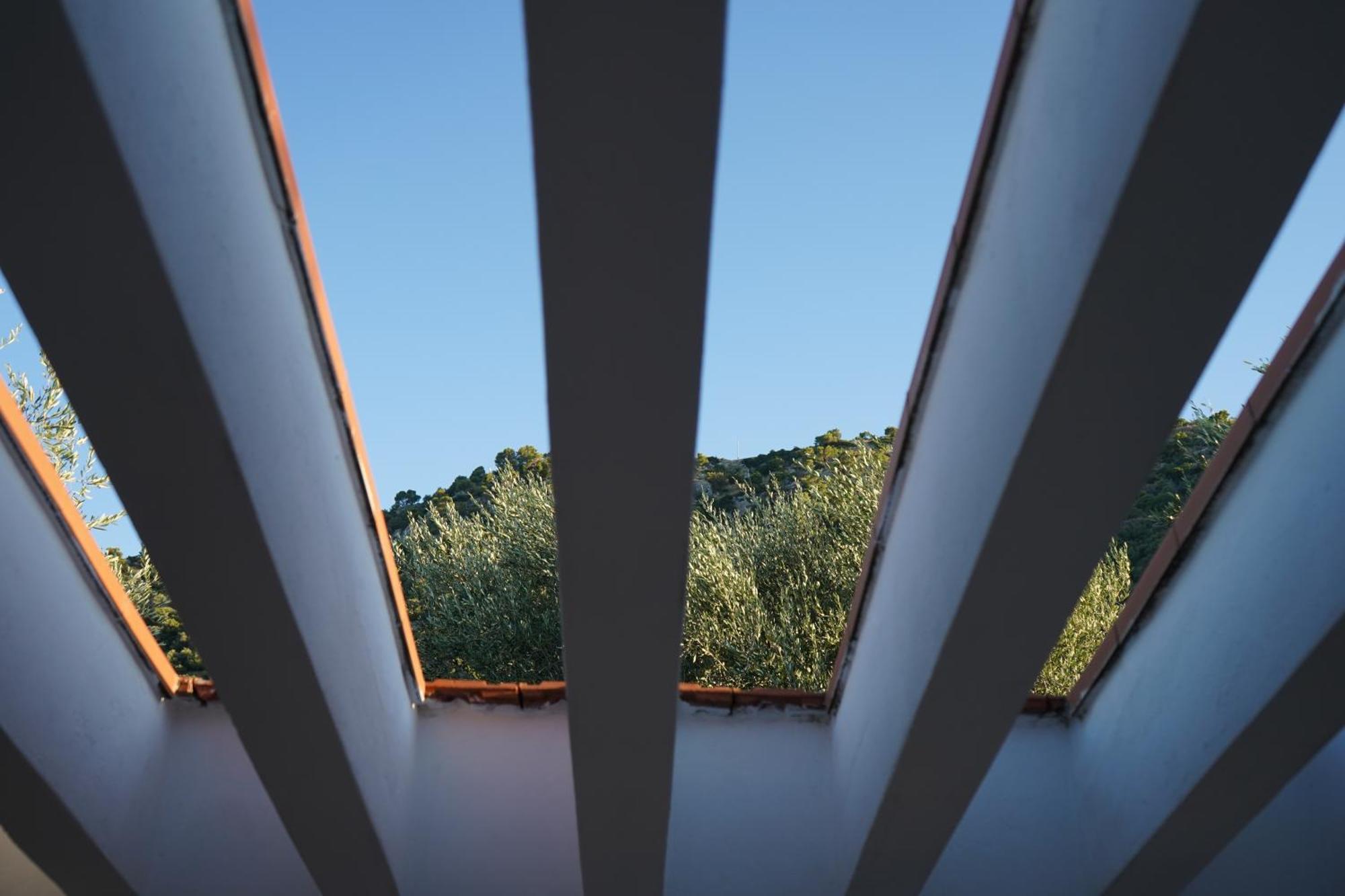 Olive&Sea Villa-Olive Mattinata Exterior photo